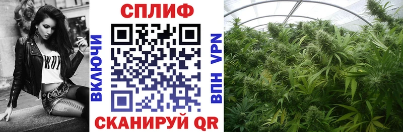 Канабис индика  Печоры 